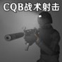 戰(zhàn)術射擊手游