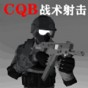 cqb戰(zhàn)術射擊游戲免費