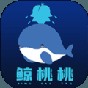 冒險家各等級技能解鎖