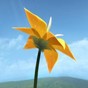 flower 花游戲